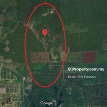 Ladang Sawit 1,700 ekar, Kuala Rompin Pahang