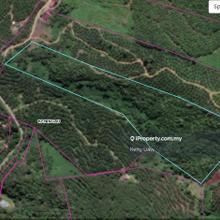 For Sale Keningau Agricultural Land, Near Tenom
