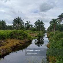 Agriculture land for Sale
