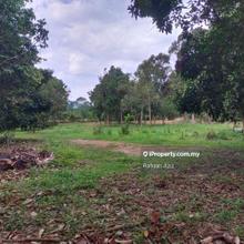 Kebun buah buahan Semungkis Hulu Langat