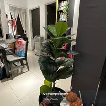 Tri Pinnacle Condominium Tanjung Tokong