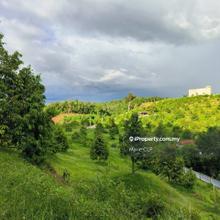 9 acres Premium Durian Farm for Sale in Lenggong, Perak