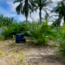 Urgent Sale! 2.18acre Agricultural Land Jalan Teratai Banting Klang