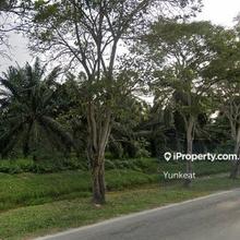 Batu Kawan Industry Park 2 64acres Industrial Land for sale 