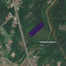 2 acres of freehold Malay reserve land in Tanjung Agas Pasir Panjang