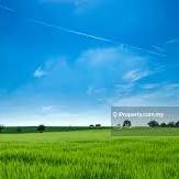 Rawang Free Hold Agricultural Land For Sale