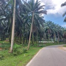 Kuang Rawang