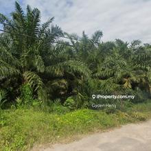 Bt 27.5 Jalan Mohd Salleh, Pekan Nanas