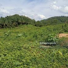 5.33 Acres Jerantut Freehold Agricultural Land For Sale 