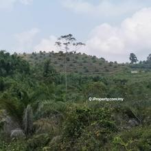 Agriculture land for Sale