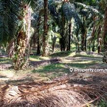 Semenyih Agriculture Oil Palm Zoning Industrial Land For Sale