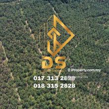 Ayer Tawar Freehold Oil Palm Land