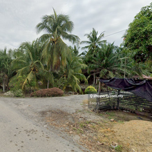 Sungai Besar Agriculture land for Sale