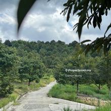 Agriculture land for Sale