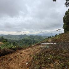 125 Acre Freehold Agriculture Land Kuala Pilah