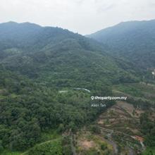 Inexpensive Agri Land for Sale In Broga Selangor
