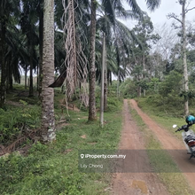 For Sale  Oil Palm agriculture land