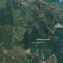 Tanah tanaman kontan untuk disewa di Felda Nitar, Mersing, Johot