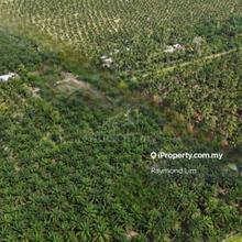 Lendu Alor Gajah Mukim Masjid Tanah Agriculture Land 33 acres Freehold
