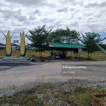 For Sale Agriculture land (Main road )