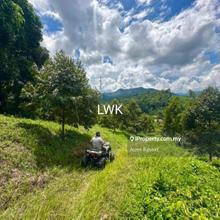 Spacious 8.45 Acres Agricultural Land Kuala Kerai, Kelantan