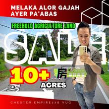 Freehold 10 Acres Agriculture Land at Alor Gajah Ayer Pa'abas