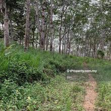 Prime agricultural lands for sale in Cheroh Pahang (Negotiable)