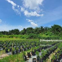 Agriculture Land ( 1.74acre, telok gong )