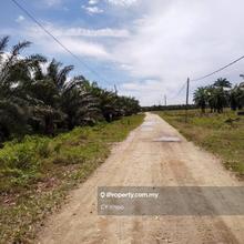 Perak Tengah Jaya Baru Sitiawan Lekir 972 acres Palm Oil Land for sale