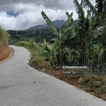 2.25 Acre Agriculture Vege Farm Bukit Tinggi Janda Baik Bentong