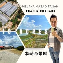 Vito Masjid Tanah Paya Mengkuang Farm Orchard Land 10 Acres
