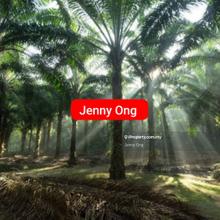 Zoning Heavy Industry  Land Gurun, Kedah For Sale