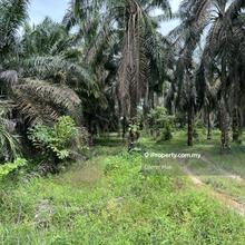 Land for Sale on Jalan Labis-Yong Peng