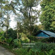 Agriculture land for Sale