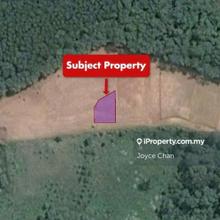 Freehold Residential Land - Buloh Kasap, Segamat, Johor