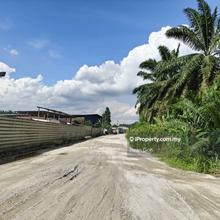 Kulai Kelapa Sawit