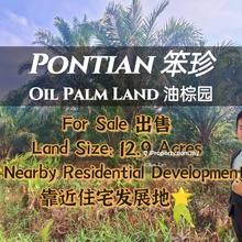 Oil Palm Land Nearby Pontian Perdana For Sale