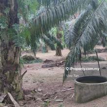 A Freehold Land at Kampung Chin Chin area