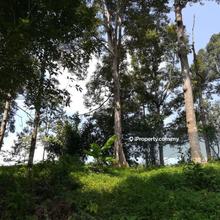 Mix Development land currently with Durian Orchard near Proto City