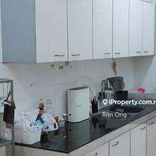 Taragon Puteri For sale