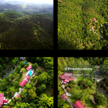 Luxury Forest Resort @ Hulu Yam - Batang Kali, Hulu Selangor