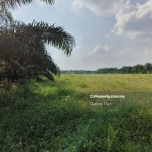 Johor Agriculture Land Simpang Renggam Toll Johor Benut 