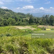 Land in Kampung Bukit Tinggi
