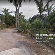 Agriculture land for Sale