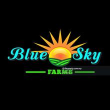 Condominium for Rent