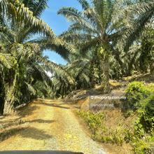 Big land beside Central Spine Road