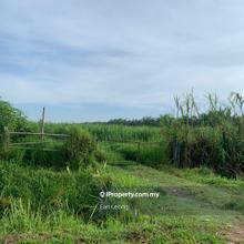 Kuala Selangor @Agriculture Land For Sale