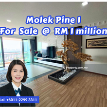 Molek Pine 1 @ Taman Molek high floor super good condition unit