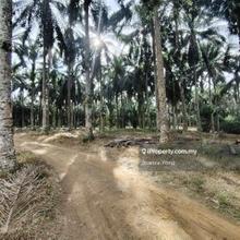 Coverted Light Industrial Land @ Senai, Johor