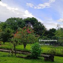 Bungalow with many type fruits tree nice green view